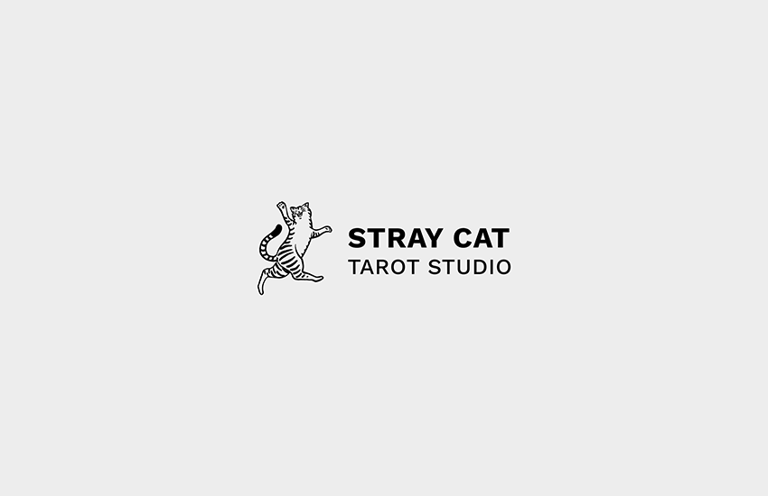Stray Cat
