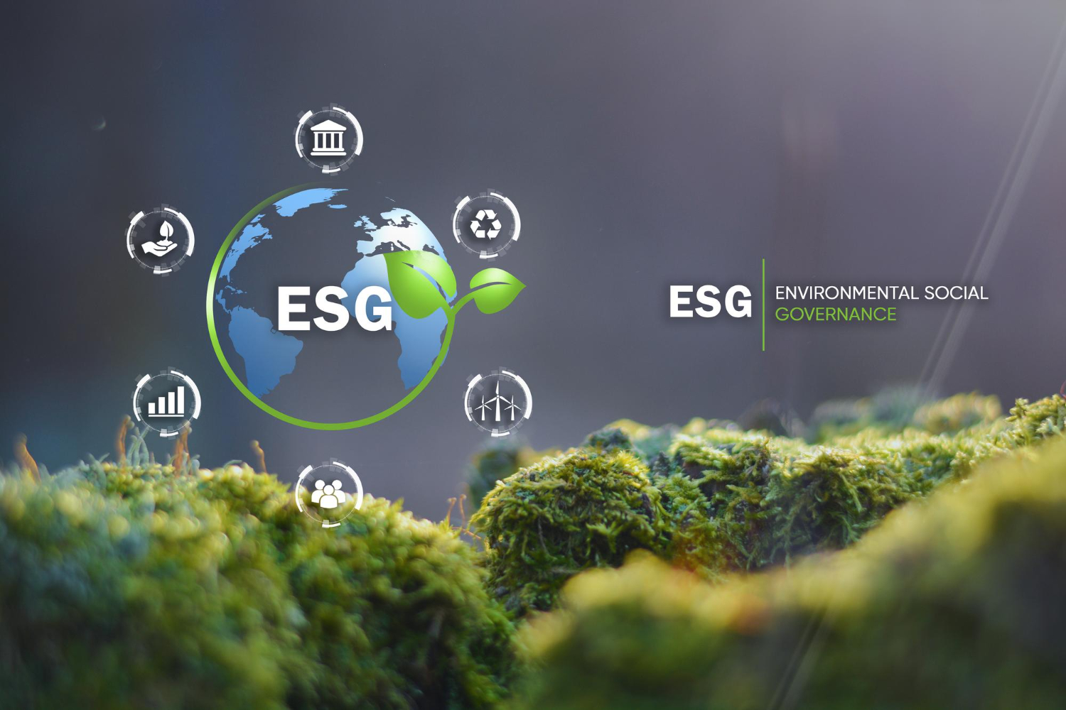 ESG and Sustainability